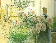 Carl Larsson azalea-karin med azalea oil on canvas